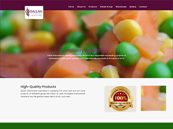 Web Design Qatar